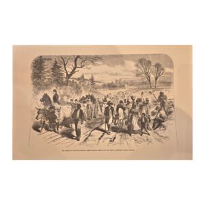 The Effects of the Proclamation, New Burn, North Carolina (14)